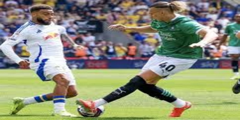 升级形势展望-华体会