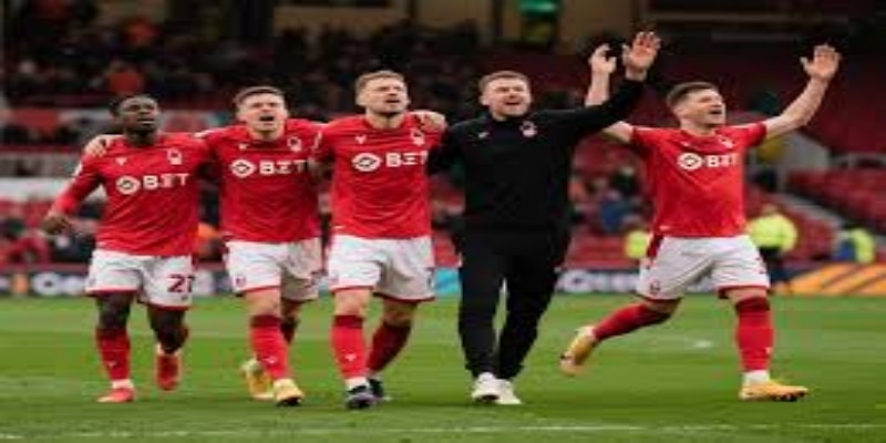 托尼市场价值剖析-华体会